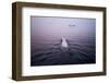 Polar Bear, Hudson Bay, Canada-null-Framed Photographic Print