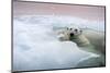 Polar Bear, Hudson Bay, Canada-null-Mounted Photographic Print