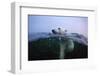 Polar Bear, Hudson Bay, Canada-null-Framed Photographic Print