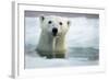 Polar Bear, Hudson Bay, Canada-Paul Souders-Framed Photographic Print