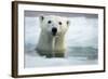 Polar Bear, Hudson Bay, Canada-Paul Souders-Framed Photographic Print