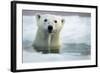 Polar Bear, Hudson Bay, Canada-Paul Souders-Framed Photographic Print