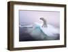 Polar Bear, Hudson Bay, Canada-Paul Souders-Framed Photographic Print