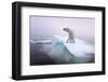 Polar Bear, Hudson Bay, Canada-Paul Souders-Framed Photographic Print