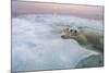 Polar Bear, Hudson Bay, Canada-Paul Souders-Mounted Photographic Print