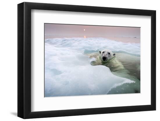 Premium Photographic Print, , large