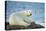 Polar Bear, Hudson Bay, Manitoba, Canada-Paul Souders-Stretched Canvas