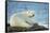 Polar Bear, Hudson Bay, Manitoba, Canada-Paul Souders-Framed Stretched Canvas