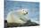 Polar Bear, Hudson Bay, Manitoba, Canada-Paul Souders-Stretched Canvas