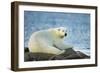 Polar Bear, Hudson Bay, Manitoba, Canada-Paul Souders-Framed Photographic Print