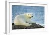 Polar Bear, Hudson Bay, Manitoba, Canada-Paul Souders-Framed Photographic Print