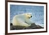 Polar Bear, Hudson Bay, Manitoba, Canada-Paul Souders-Framed Photographic Print