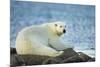 Polar Bear, Hudson Bay, Manitoba, Canada-Paul Souders-Mounted Photographic Print