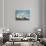 Polar Bear, Hudson Bay, Manitoba, Canada-Paul Souders-Stretched Canvas displayed on a wall