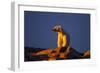 Polar Bear, Hudson Bay, Nunavut, Canada-Paul Souders-Framed Photographic Print