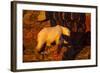 Polar Bear, Hudson Bay, Nunavut, Canada-Paul Souders-Framed Photographic Print