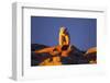 Polar Bear, Hudson Bay, Nunavut, Canada-Paul Souders-Framed Photographic Print