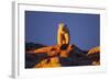 Polar Bear, Hudson Bay, Nunavut, Canada-Paul Souders-Framed Photographic Print