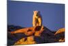 Polar Bear, Hudson Bay, Nunavut, Canada-Paul Souders-Mounted Photographic Print