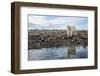 Polar Bear, Hudson Bay, Nunavut, Canada-Paul Souders-Framed Photographic Print