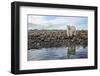 Polar Bear, Hudson Bay, Nunavut, Canada-Paul Souders-Framed Photographic Print