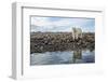 Polar Bear, Hudson Bay, Nunavut, Canada-Paul Souders-Framed Photographic Print