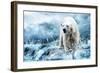Polar Bear Hunting in a River-null-Framed Premium Giclee Print