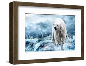 Polar Bear Hunting in a River-null-Framed Art Print