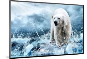 Polar Bear Hunting in a River-null-Mounted Art Print