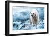 Polar Bear Hunting in a River-null-Framed Art Print