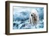 Polar Bear Hunting in a River-null-Framed Art Print