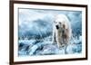 Polar Bear Hunting in a River-null-Framed Art Print