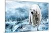 Polar Bear Hunting in a River-null-Mounted Art Print