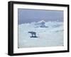 Polar Bear Hunting in Moonlit Night, 1899-Aleksandr Alekseevich Borisov-Framed Giclee Print