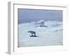 Polar Bear Hunting in Moonlit Night, 1899-Aleksandr Alekseevich Borisov-Framed Giclee Print