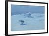 Polar Bear Hunting in the Moonlight, 1899-Alexander Borisov-Framed Giclee Print