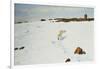 Polar Bear in an Arctic Landscape, 1899-Richard Friese-Framed Giclee Print