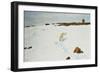 Polar Bear in an Arctic Landscape, 1899-Richard Friese-Framed Giclee Print