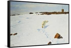 Polar Bear in an Arctic Landscape, 1899-Richard Friese-Framed Stretched Canvas