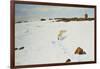 Polar Bear in an Arctic Landscape, 1899-Richard Friese-Framed Giclee Print