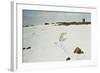 Polar Bear in an Arctic Landscape, 1899-Richard Friese-Framed Giclee Print