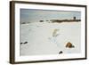 Polar Bear in an Arctic Landscape, 1899-Richard Friese-Framed Giclee Print