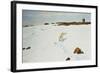 Polar Bear in an Arctic Landscape, 1899-Richard Friese-Framed Giclee Print