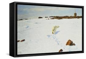 Polar Bear in an Arctic Landscape, 1899-Richard Friese-Framed Stretched Canvas