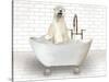 Polar Bear In Bathtub-Matthew Piotrowicz-Stretched Canvas