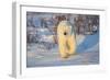 Polar Bear in Churchill Wildlife Management Area, Churchill, Manitoba, Canada-Richard and Susan Day-Framed Photographic Print