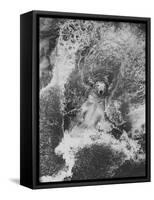 Polar Bear in Splash of Water-null-Framed Stretched Canvas