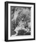 Polar Bear in Splash of Water-null-Framed Photographic Print