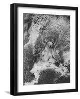 Polar Bear in Splash of Water-null-Framed Photographic Print