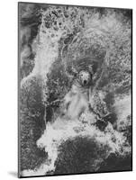 Polar Bear in Splash of Water-null-Mounted Photographic Print